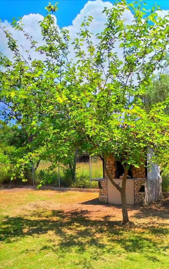 Country house Artemis Guest House Svoronata