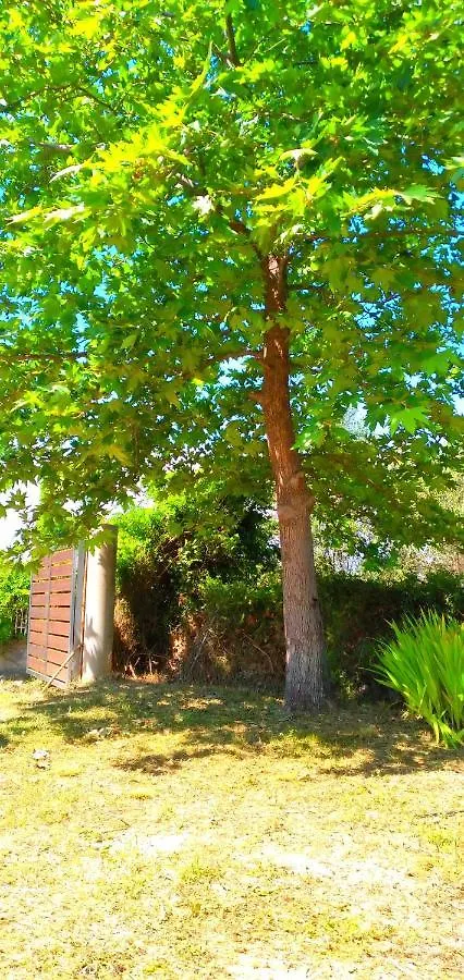 Country house Artemis Guest House Svoronata